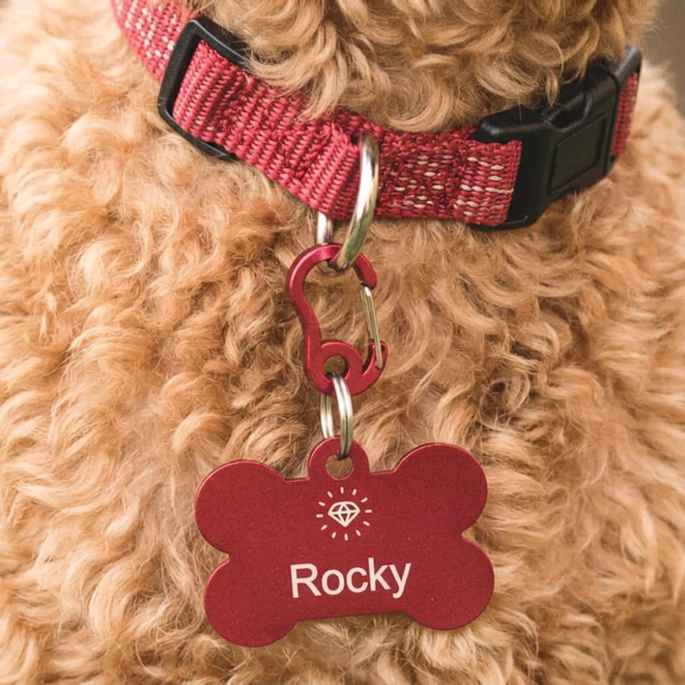 Rode hondenpenning met naam Rocky
